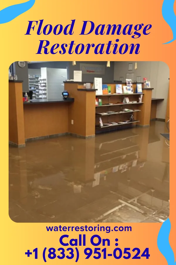 Flood Damage Restoration in Mills River, NC