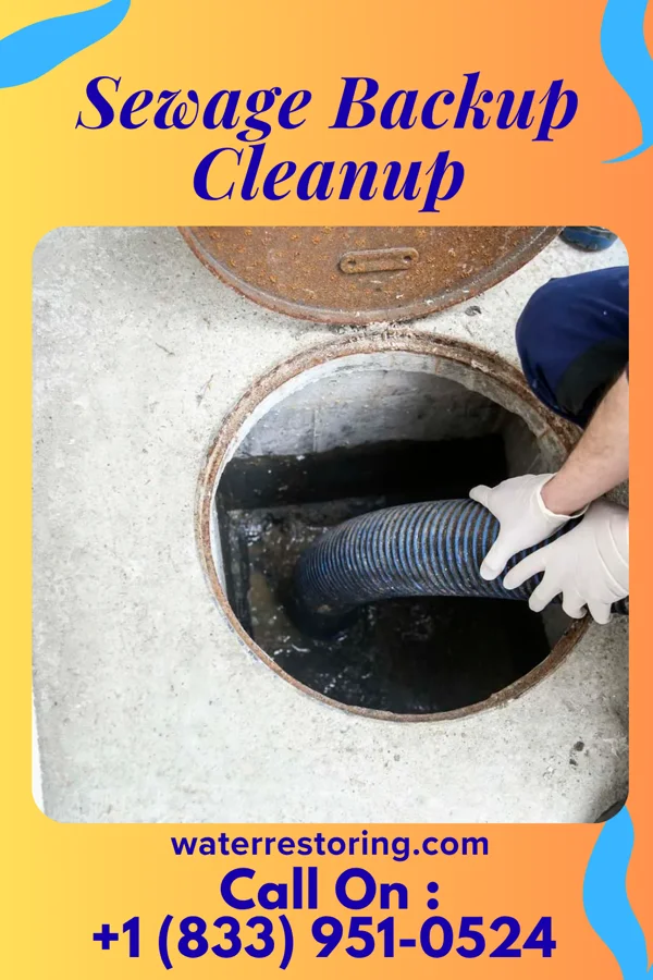 Sewage Backup Cleanup in Mills River, NC