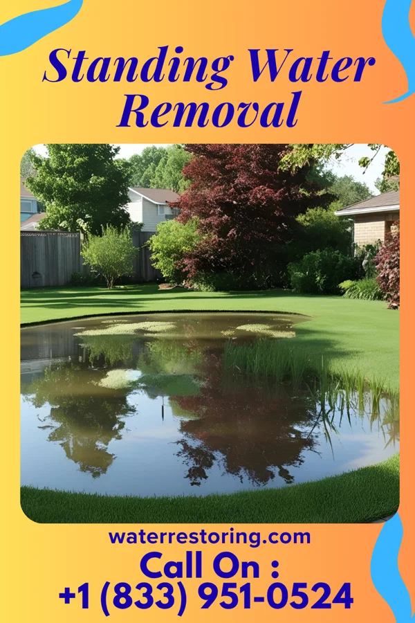 Standing Water Removal in Mills River, NC